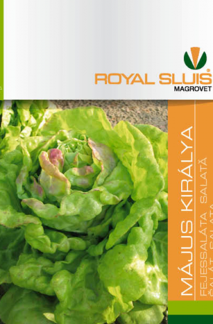 Saláta Május Királya Royal 1