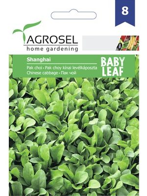 Pak Choi Shanghai Ag8