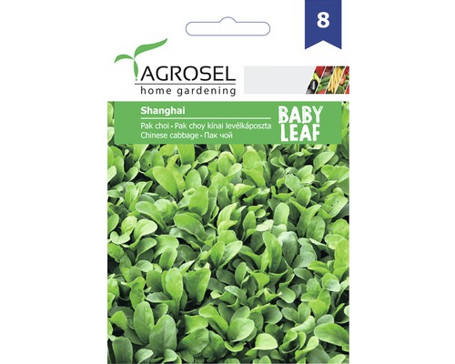 Pak Choi Shanghai Ag8