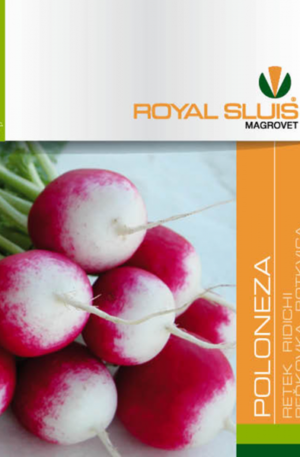 Retek Poloneza Royal 1