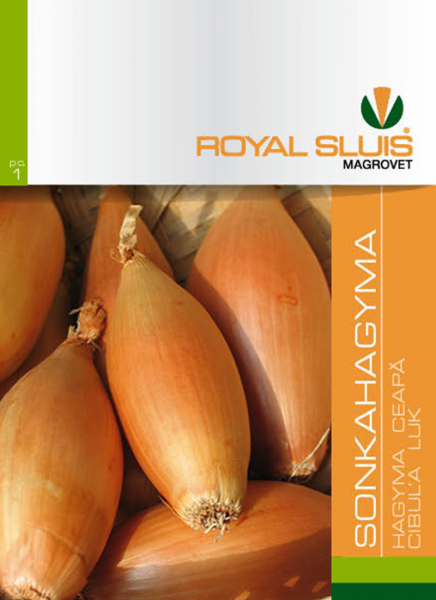Hagyma Sonkahagyma Royal 1