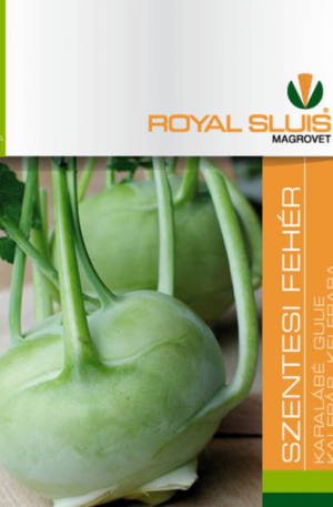 Karalábé Szentesi fehér  Royal 1