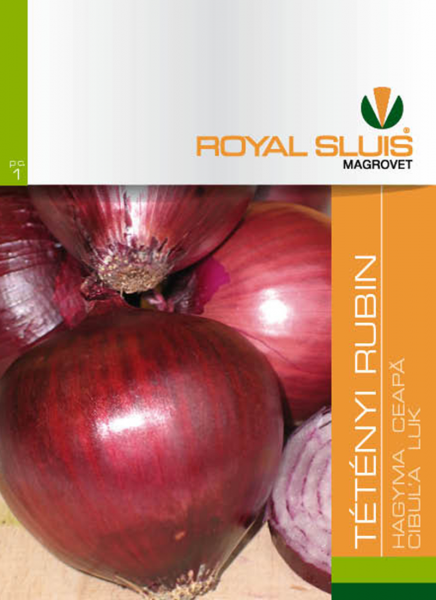 Hagyma Tétényi Rubin Royal 1