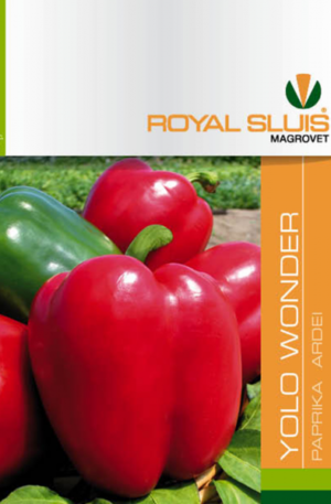 Paprika Yolo Wonder  Royal 1