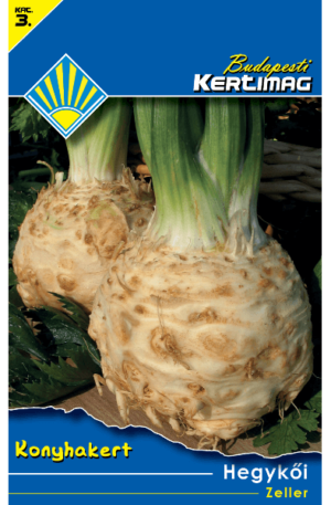 Zeller Hegykői BK 3