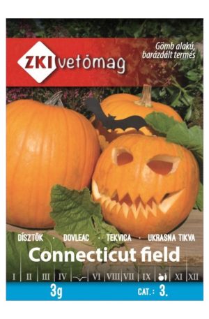 Tök Connecticut field ZKI 3