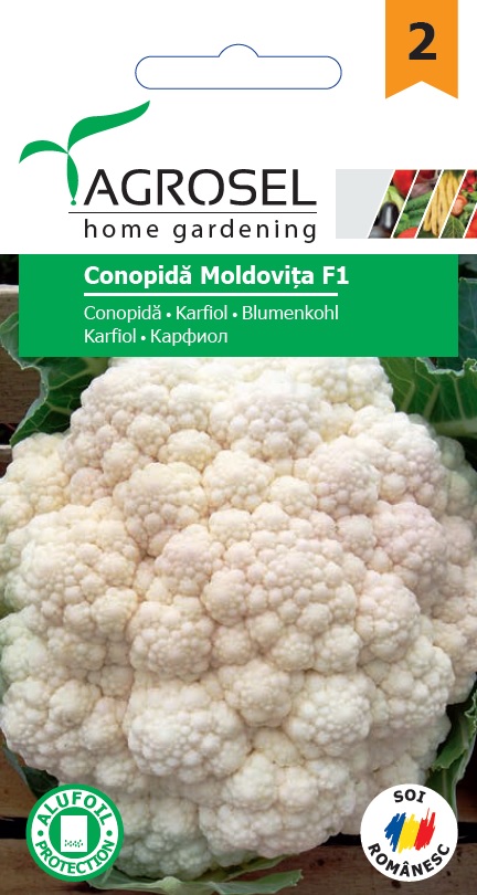 Karfiol Moldovita F1 Ag 2