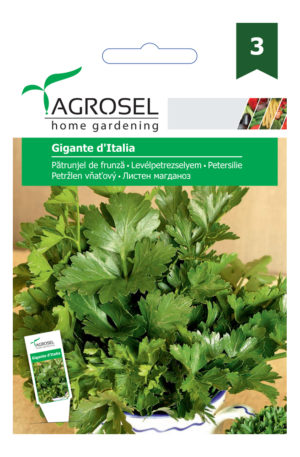 Levélpetrezselyem Gigant D'italia Ag 3