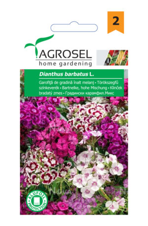 .Török szegfű színkeverék magas szárú Ag 2 2025-év lejáratú