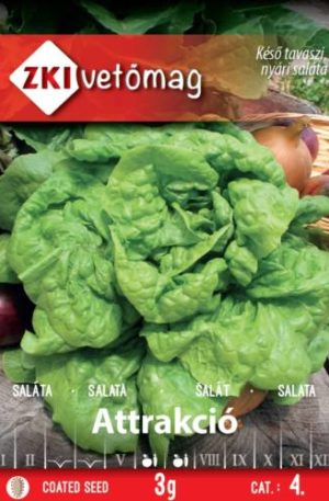 Saláta Attrakció ZKI 6
