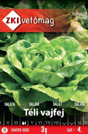 Saláta Téli vajfej ZKI 4