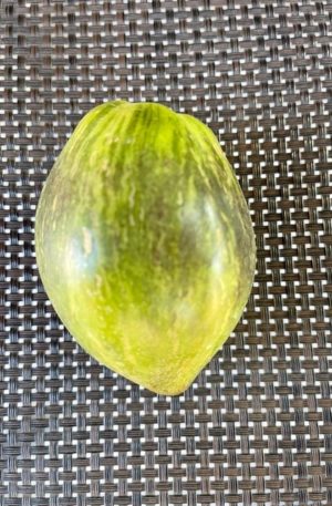 Rebel Starfighter VT16 B Paradicsom