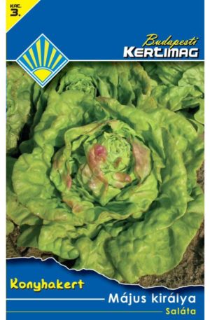 Saláta Május királya BK 3