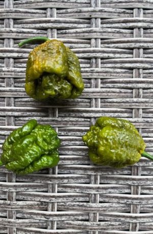 Trinidad Scorpion Moruga Mustard