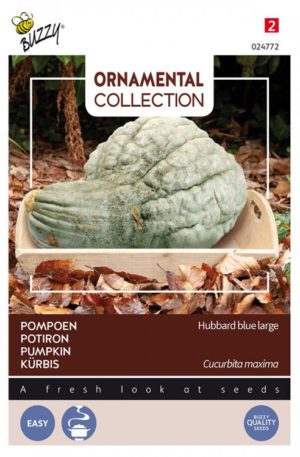 Sütőtök Hubbard blue large BZ-Ornamental H