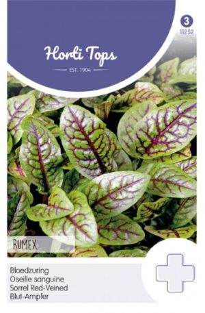 Sóska vörös levelű Ht H