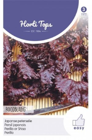 Kínai bazsalikom Shiso H Ht