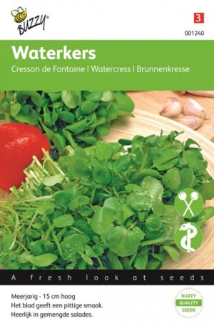 Orvosi vizitorma (Waterkers)H Bz