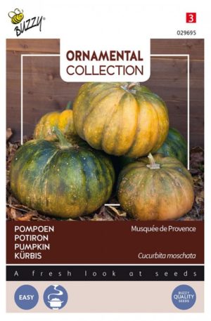 Tök Musquée de Provence Ornamental-Collection Bz H
