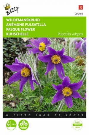 Nyugati kökörcsin Bz H