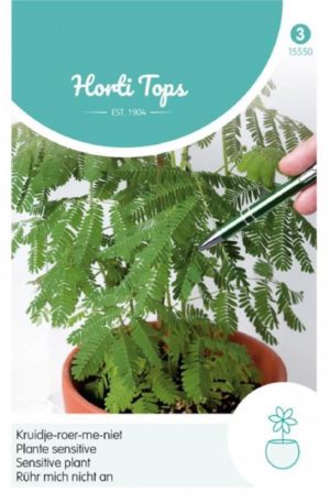 Szemérmes mimóza Ht H