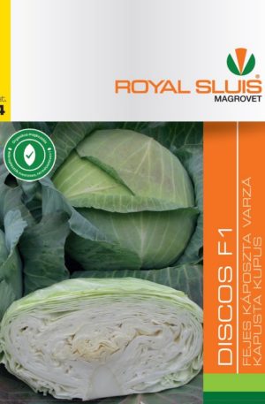 Káposzta Discos F1 Royal 4