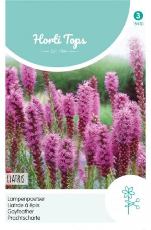 Fűzéres díszcsorba Ht H