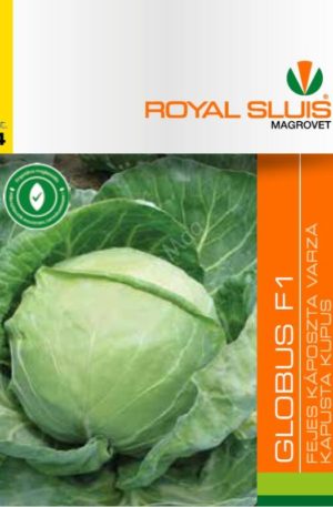 Káposzta Globus F1 Royal 4