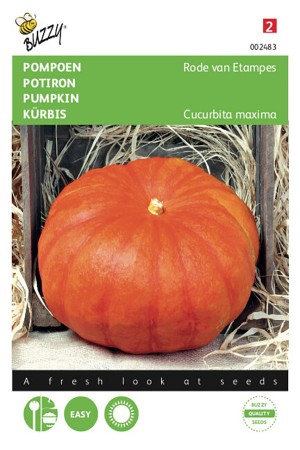 Tök Red Etampes - Óriás tök ( Rode van Etampes)Bz H