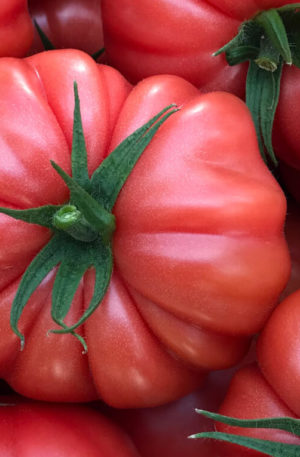 Cassa Rosa F1 Paradicsom