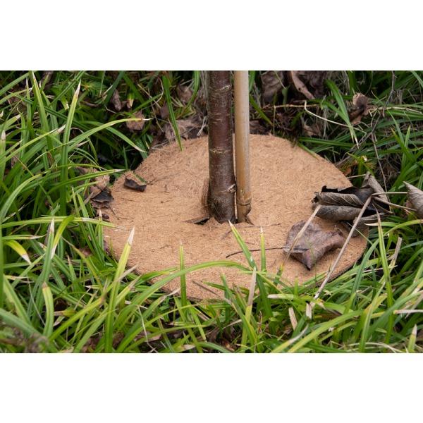 Biológiailag lebomló kókuszrost fagyvédő korong, 28 cm, M GT276 - Image 3