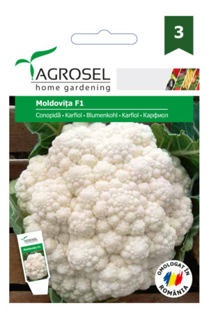 .Karfiol Moldovita Ag 3 2025-év lejáratú