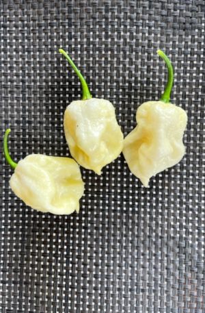 Trinidad Scorpion Moruga White