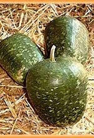 Speckled Apple Tök B-S