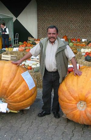 Atlantic Giant Tök B-S