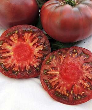 Tschernij Prinz Bio B-S Paradicsom