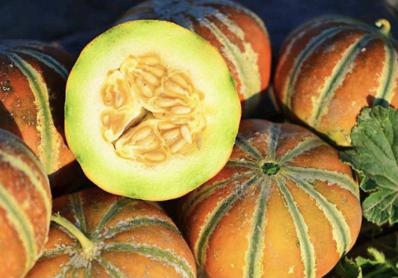 Sárgadinnye Kajari B-S