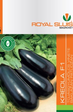 Padlizsán Kreola F1 Royal 2