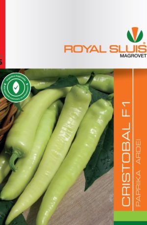 Paprika Cristobal F1 Royal  5