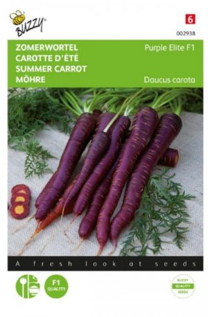 Sárgarépa Purple Elite F1 Bz H