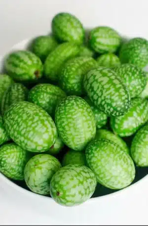 Egérdinnye-Mexikói datolyauborka B-S