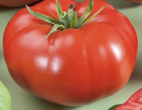 Ace 55 Vf B Paradicsom