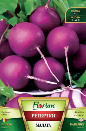 Retek Malaga  Florian Bg