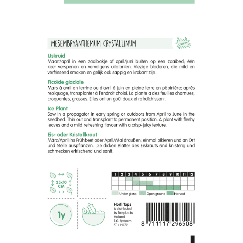 Jeges kristályvirág (Ice plant)étkezésre Ht H - Image 2