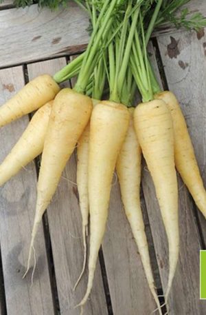 Sárgarépa Maruschka  B-S