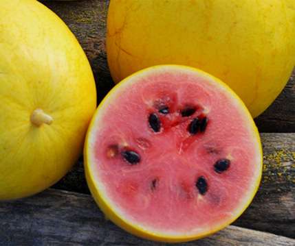 Görögdinnye Golden Midget B-S