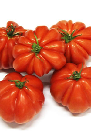 Corazon F1 Paradicsom