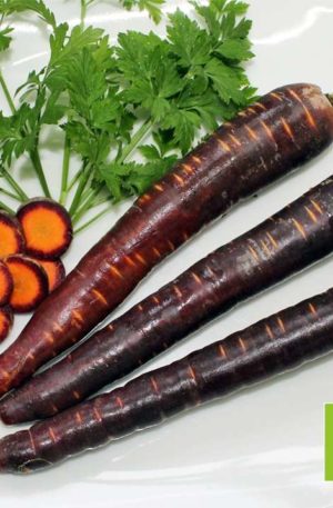 Sárgarépa Lila Lu  B-S