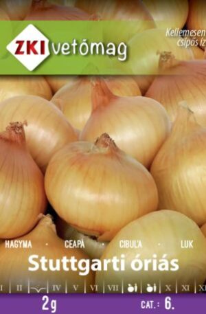Hagyma Stuttgarti óriás ZKI 6