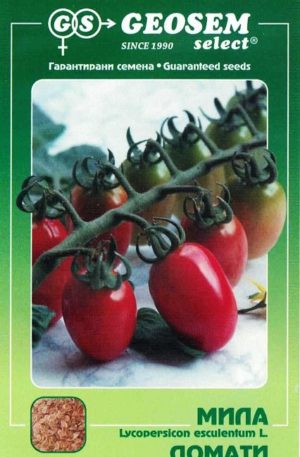 Paradicsom Milla  Geosem Bg